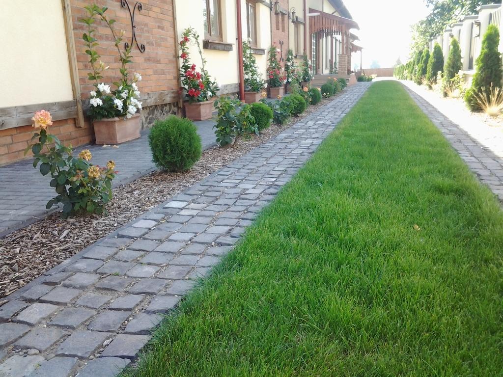 Country Court Bed & Breakfast Curteni Bagian luar foto