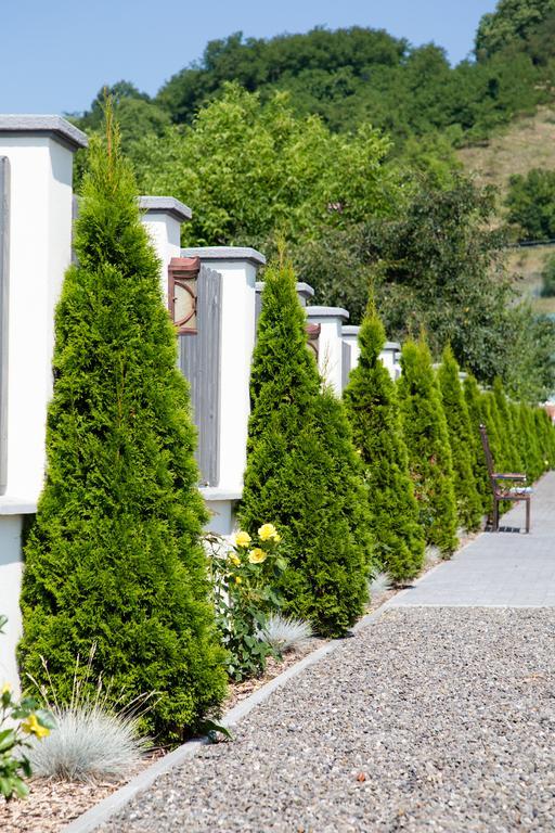 Country Court Bed & Breakfast Curteni Bagian luar foto