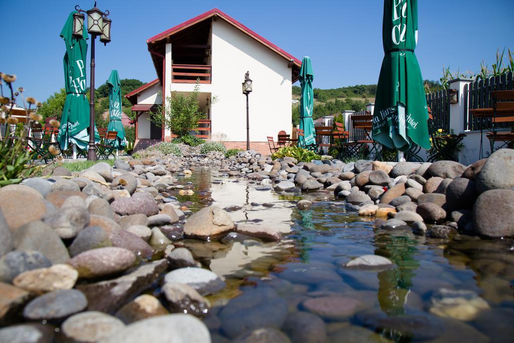 Country Court Bed & Breakfast Curteni Bagian luar foto