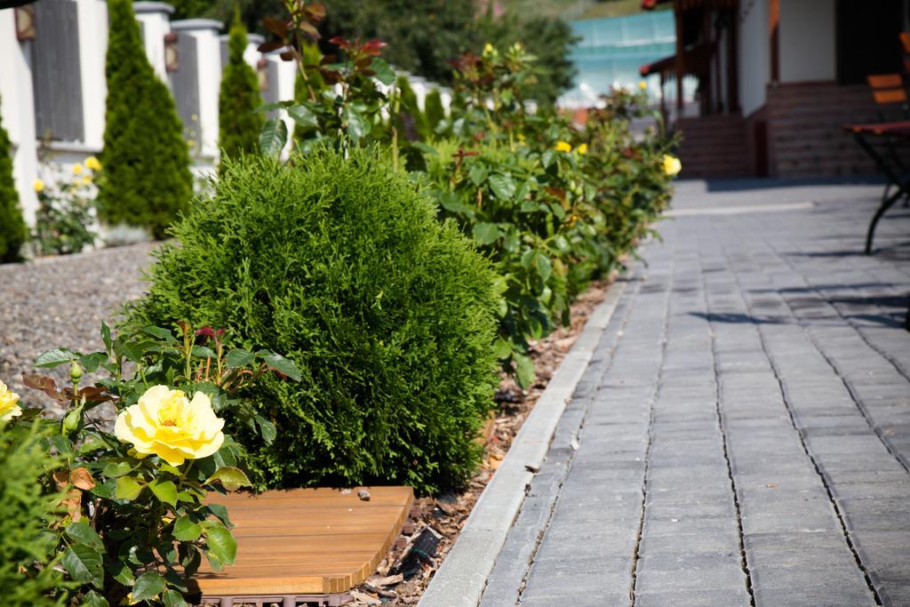 Country Court Bed & Breakfast Curteni Bagian luar foto